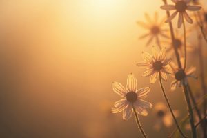 14 inspirierende Wochenstart Zitate Bilder