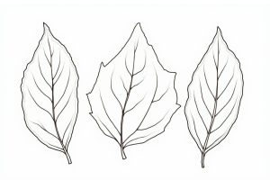 Blätter zum Ausmalen